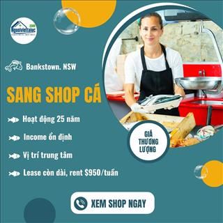 Sang lại tiệm cá hoạt động trên 25 năm vùng Bankstown, NSW